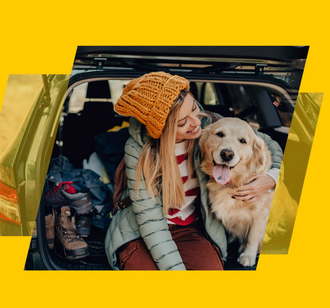 Hertz Rent a Car Car and Van Rental